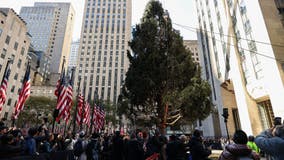 Rockefeller Christmas tree makes its grand arrival to NYC