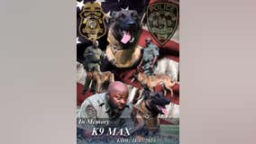 South Fulton K-9 officer killed in line of duty by officer in another department, police say