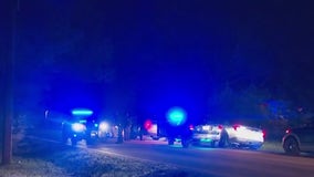 Suspected drunk driver hits police vehicle at scene of shooting in Henry County