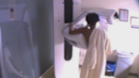 Study points to possible link between elevated air pollution, increased risk of breast cancer