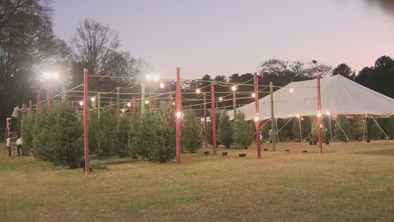 Calvary Children's Home Christmas tree lot in Cobb benefiting children in need
