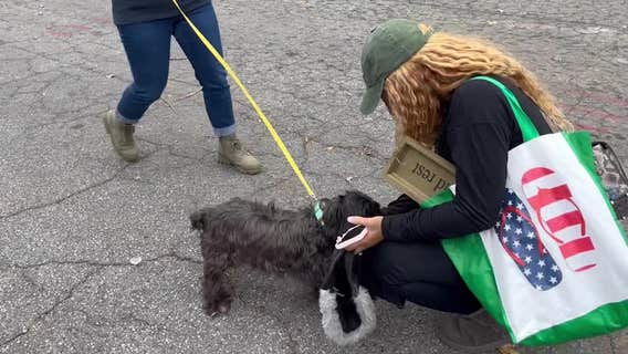 Woman reunites with dog after Midtown thieves steal her car with him inside