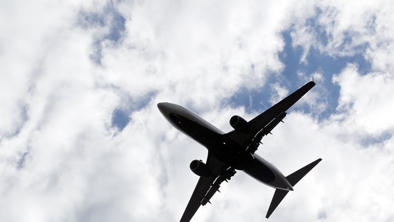 Cargo plane returns to JFK Airport after horse escapes stall