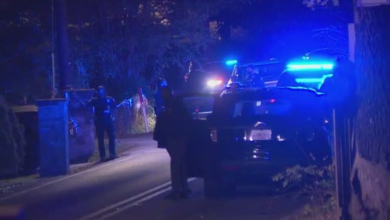 Double homicide discovered after police called to car crash in Forest Park