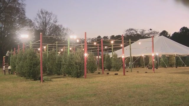 Calvary Children's Home Christmas tree lot in Cobb benefiting children in need