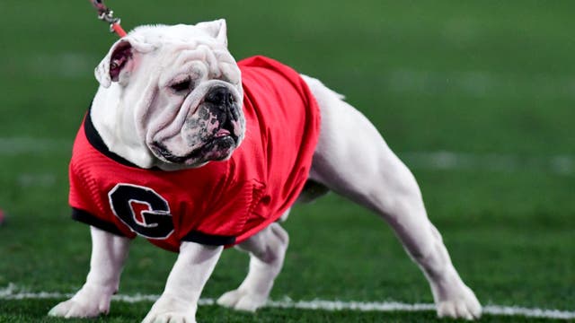 Top-ranked Georgia looks to finish off a perfect SEC slate at No. 21 Tennessee