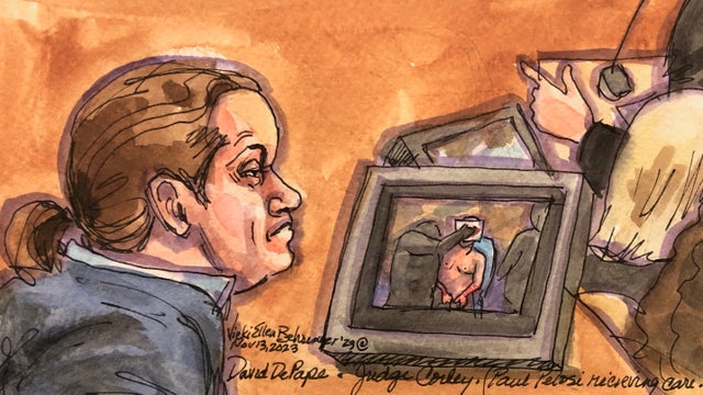 David DePape apologizes for hammer attack on Paul Pelosi