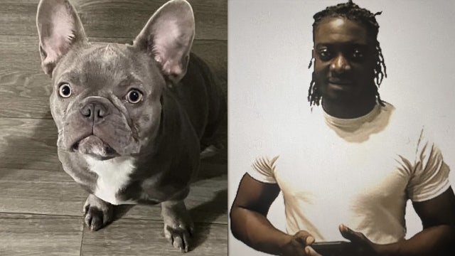 Broken gates blamed in fatal shooting during Buckhead dognapping, lawsuit filed