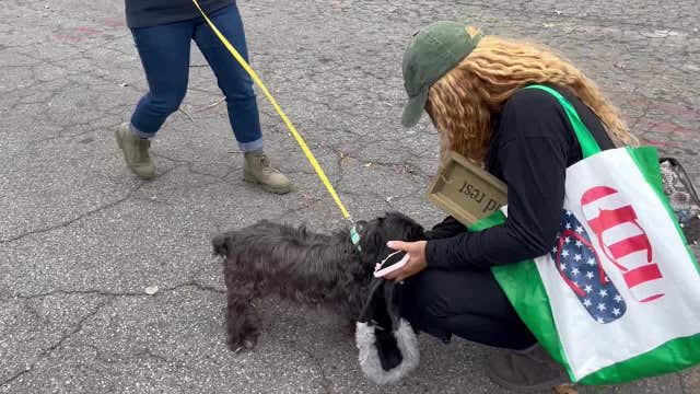 Woman reunites with dog after Midtown thieves steal her car with him inside