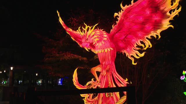 Annual lantern festival gives Zoo Atlanta a 'holiday glow'