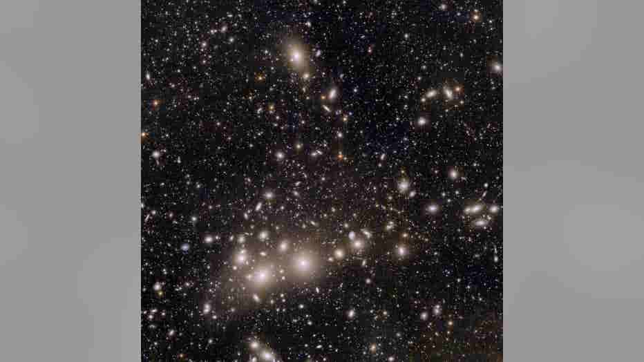 Euclid_s_view_of_the_Perseus_cluster_of_galaxies.jpg