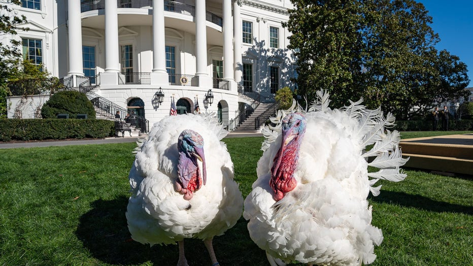 WhiteHouseTurkeys.jpg