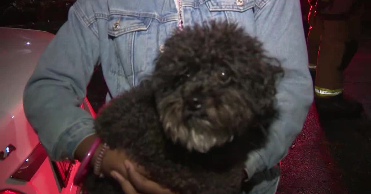 Firefighters, family dog save 9 from burning Atlanta apartments | FOX 5 ...