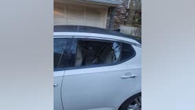 'Sad all the way around': 13-year-old arrested in East Point