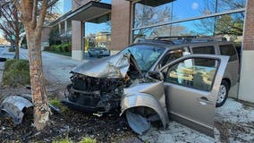 Driver suffering 'medical emergency' jumps curb in Sandy Springs crashing into tree