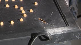 Christmas Day drive-by shooting causes thousands in damage to SW Atlanta business