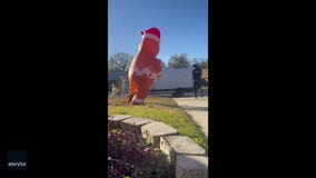 Watch: Inflatable Christmas decoration comes to life to chase Florida delivery driver