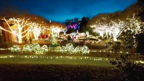 Atlanta Botanical Garden’s holiday light show 'shines' brighter than ever