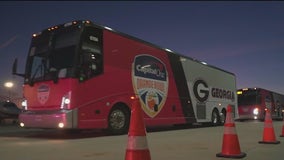 Orange Bowl fever grips Georgia: Bulldogs' determination soars as team departs for Miami