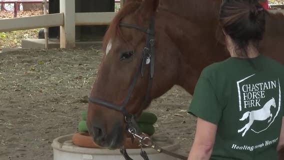 Atlanta's Chastain Horse Park plans to expand therapeutic program