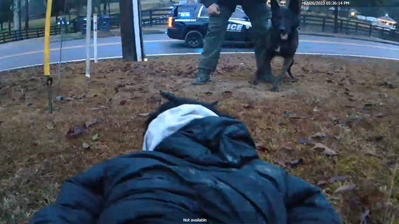 Carjacking chaos in Powder Springs: 2 teens arrested, 1 person on the run