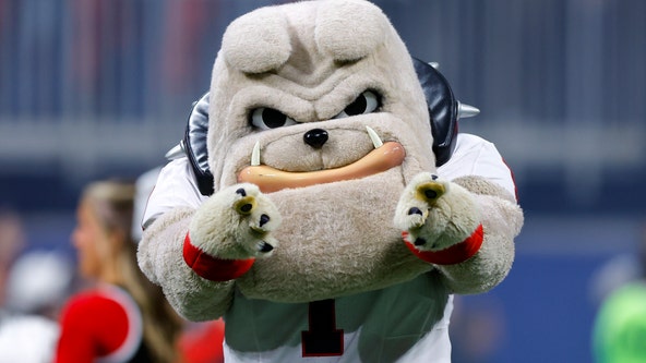 Georgia to face Alabama in SEC Championship