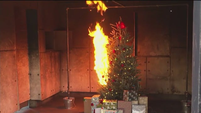 Cobb County firefighters demonstrate dangers of neglected Christmas trees