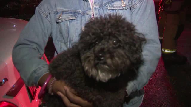 Firefighters, family dog save 9 from burning Atlanta apartments