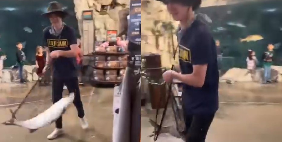 Bass Pro Shops fish thief at large after allegedly swiping live tarpon from Florida store's pond, deputies say