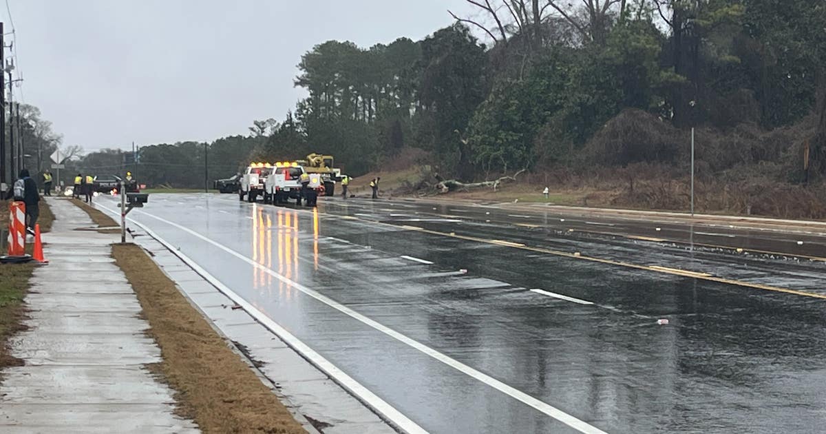 Man killed by tree during storm in Clayton County | FOX 5 Atlanta
