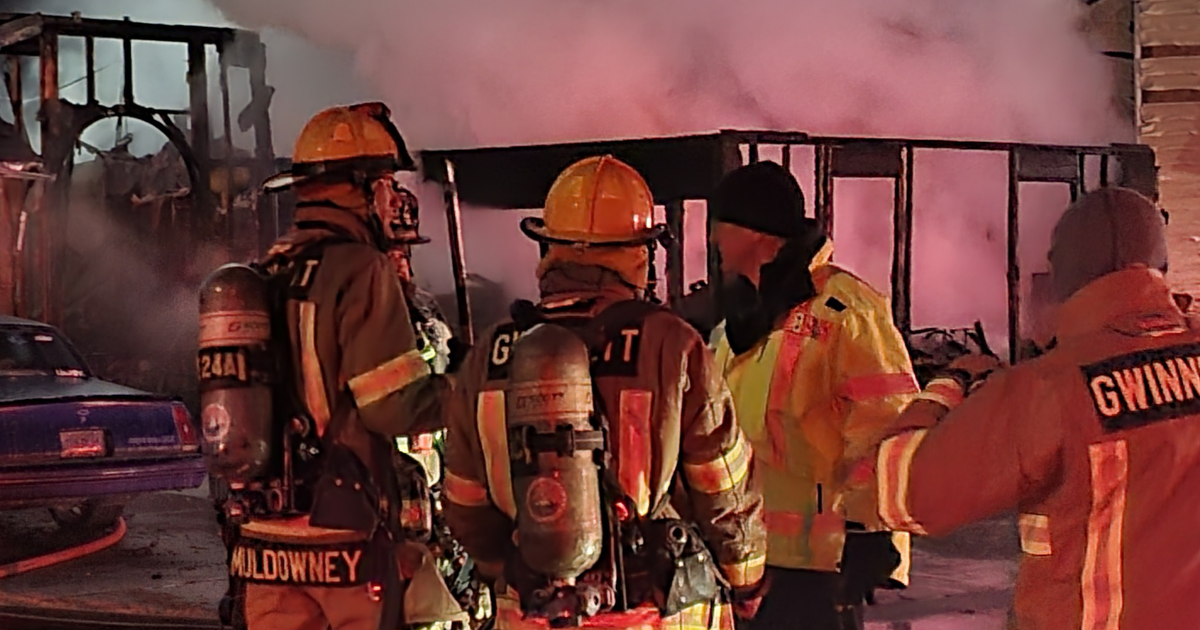 Dogs reunite with family after devastating Buford house fire | FOX 5 ...