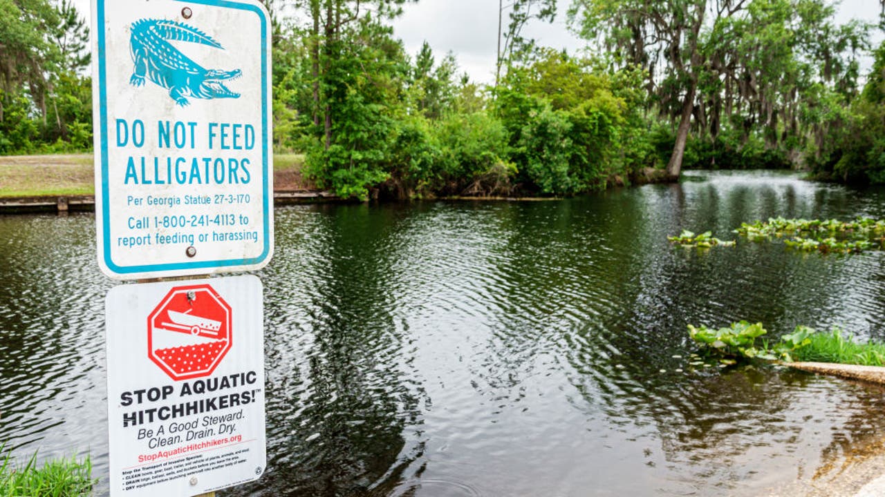 Company Seeking To Mine Near Okefenokee Will Pay 20 000 To Settle   GettyImages 1786411223 