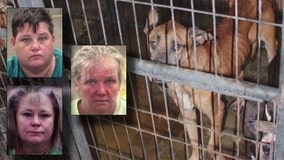 More than 200 indictments in 'horrific case of animal abuse' in Heard County