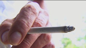 Smoking may cause your brain to shrink, according to new research