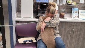 Woman reunites with beloved family dog at DeKalb County animal shelter