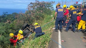71-year-old woman and dog saved from overturned vehicle hanging on cliff