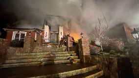 Pet dog perishes in Cobb County house fire