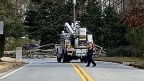 Portion of Mt. Vernon Highway closed in Sandy Springs after tree falls on power lines