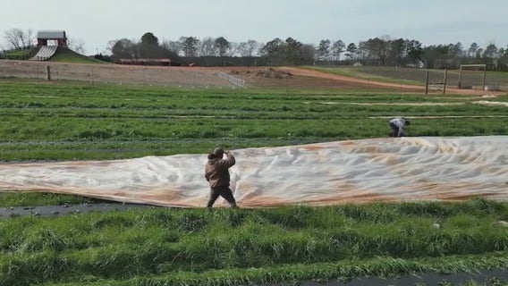 North Georgia prepares farmlands, roadways for arctic weather