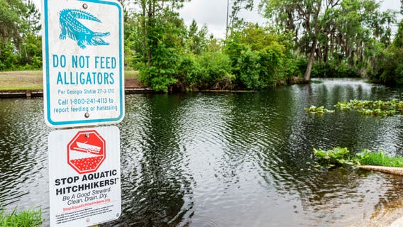 Company seeking to mine near Okefenokee will pay $20,000 to settle environmental violation claims