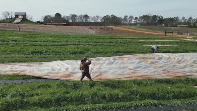 North Georgia prepares farmlands, roadways for arctic weather