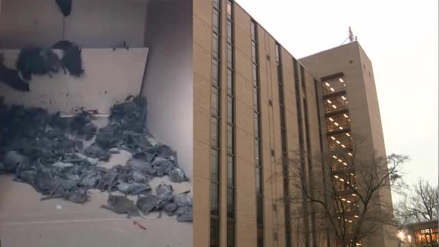 UGA dorm bat infestation: Officials work to fill holes, gaps at Oglethorpe House