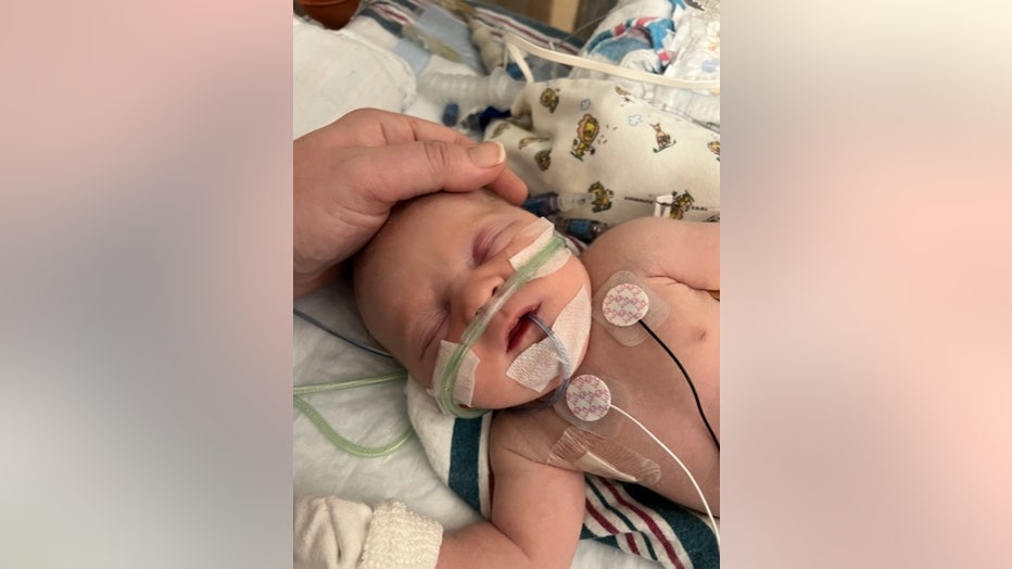 A newborn baby lies in a neonatal ICU crib