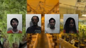 Chinese nationals arrested in Georgia county's 'largest' indoor drug growing bust ever