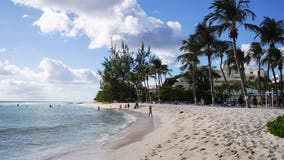 Delta plans new flights to Barbados, Puerto Plata from Atlanta airport