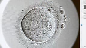 Alabama Supreme Court IVF Ruling: What frozen embryo ruling means for Georgia?