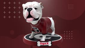 New bobblehead celebrates life, legacy of University of Georgia mascot Uga X