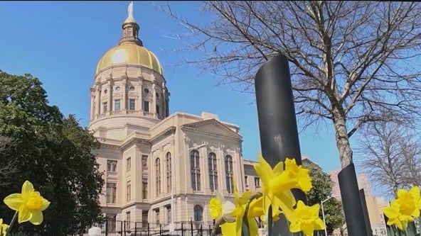 Crossover Day 2024: Here's what bills passed at the Georgia Capitol