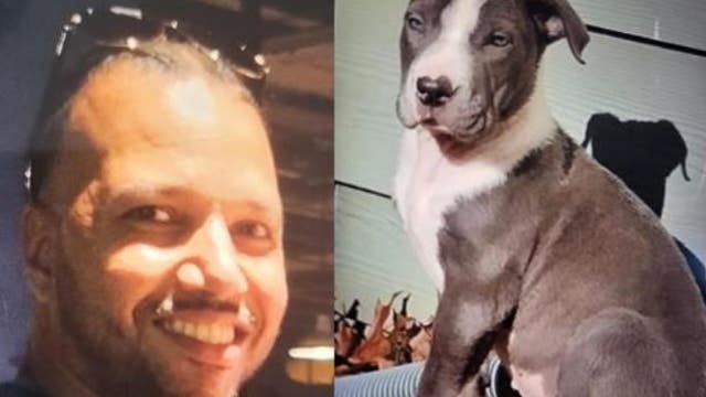 Man killed, dog stolen in Atlanta by group, police say