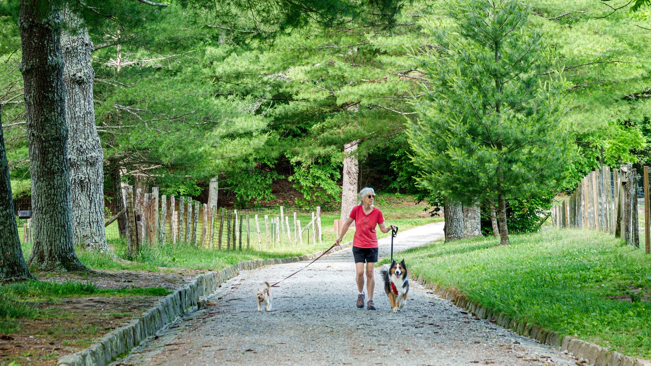 For women over 60, here is the number of daily steps needed to protect heart health For women over 60, here is the number of daily steps needed to protect heart health